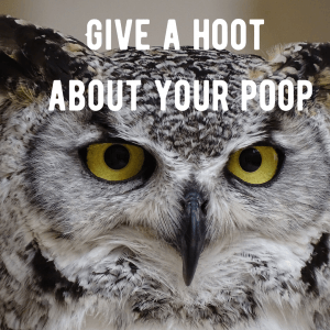 hoot poop 300x300 - What's your child's poo telling you?